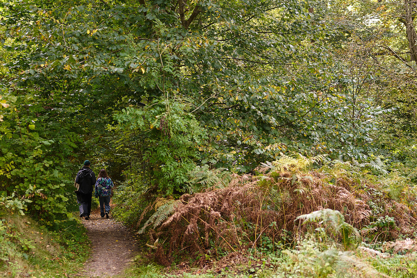 Eingang eines Waldstückes mit Laubbäumen. Auf dem Weg sieht man eine Frau und einen Mann sich vom Eingang entfernen.