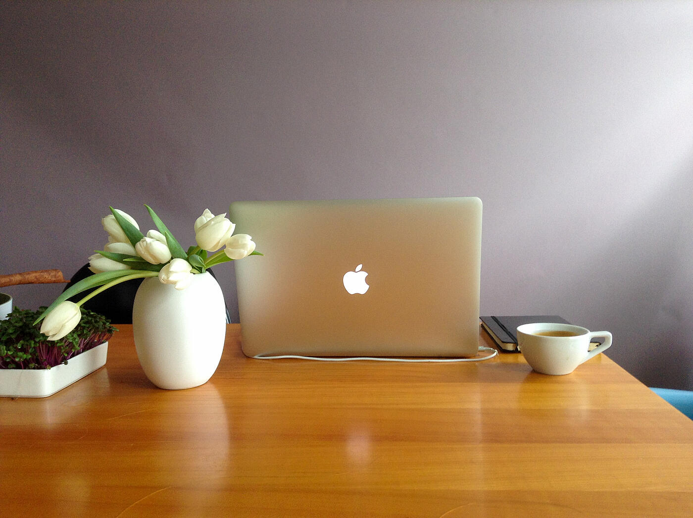 Ein aufgeklapptes Macbook auf einem Schreibtisch, daneben eine weiße Blumenvase mit Tulpen und eine Kaffeetasse.
