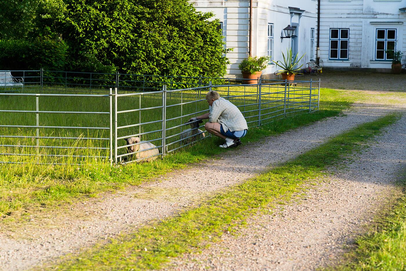 Eine Mitarbeiterin kauert vor einem Tiergehege im Grünen und streichelt durch den Zaun ein Schaf. Im Hintergrund ein historisches Gebäude.