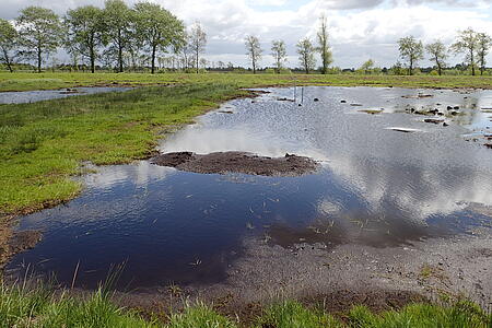 Ein Moor mit grünem Ufer und einer Wasserfläche, in der sich der Himmel spiegelt.