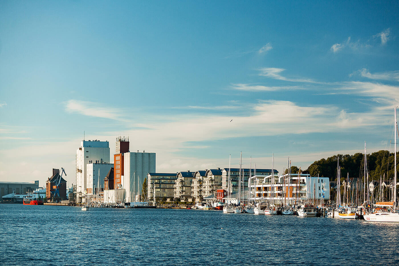 Das Ostufer der Flensburger Förde vor blauem Himmel.