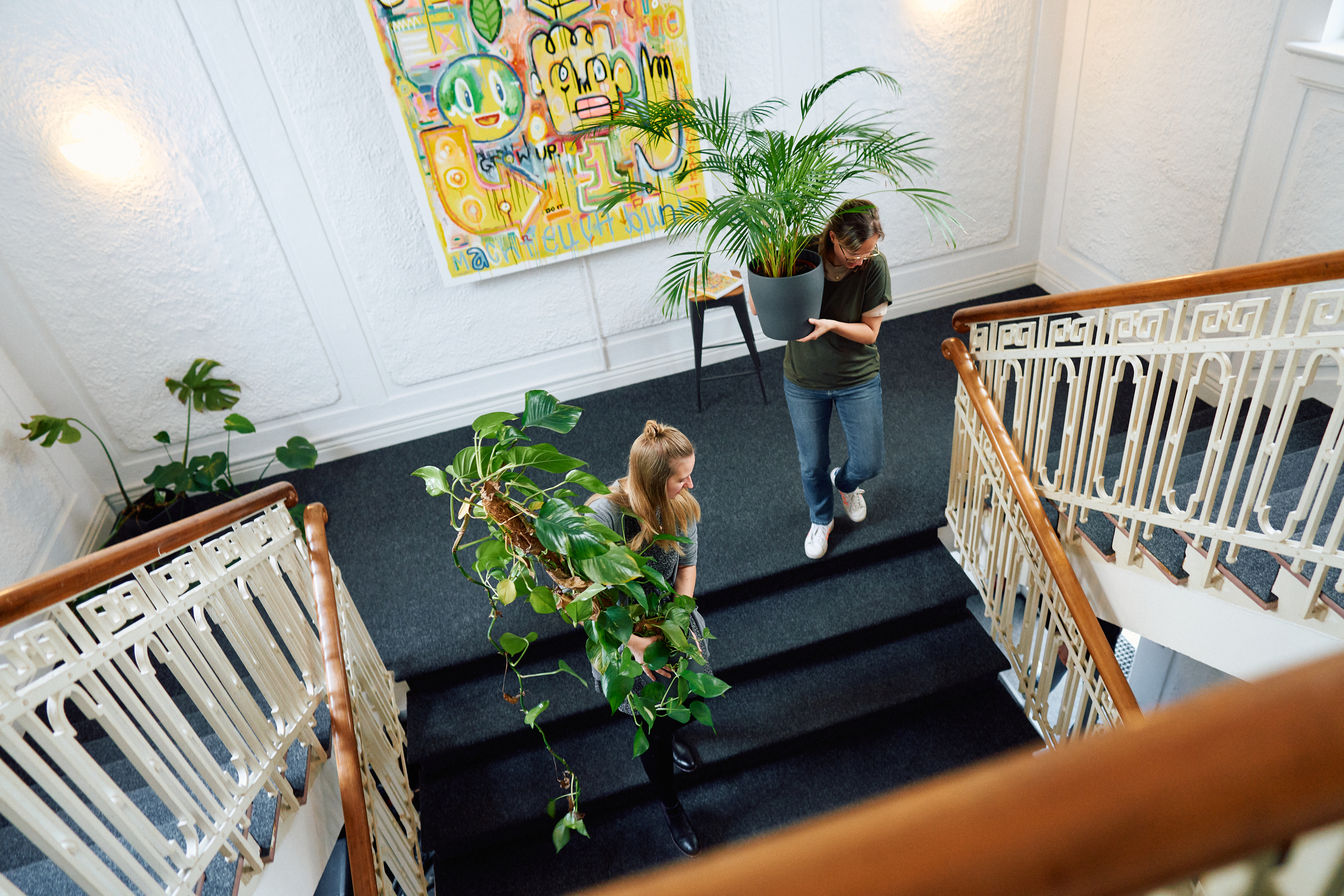 Zwei Mitarbeiterinnen von visuellverstehen tragen grüne Topfpflanzen die Treppe hoch.