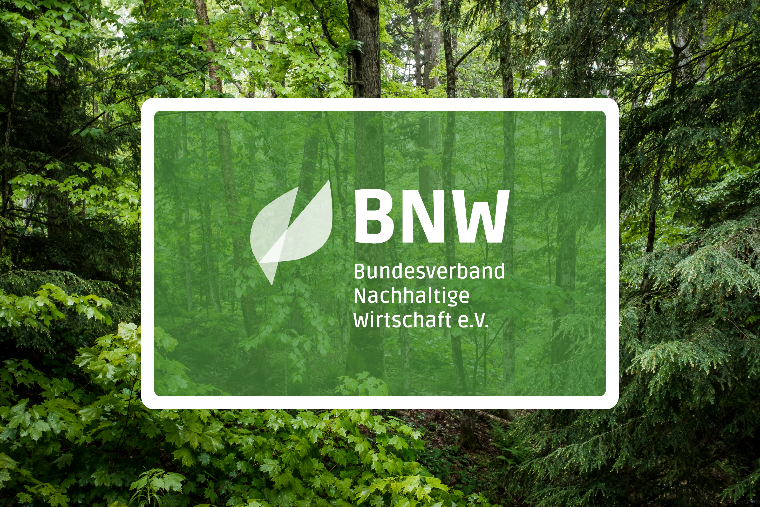 Das grüne BNW-Logo vor grünem Wald.