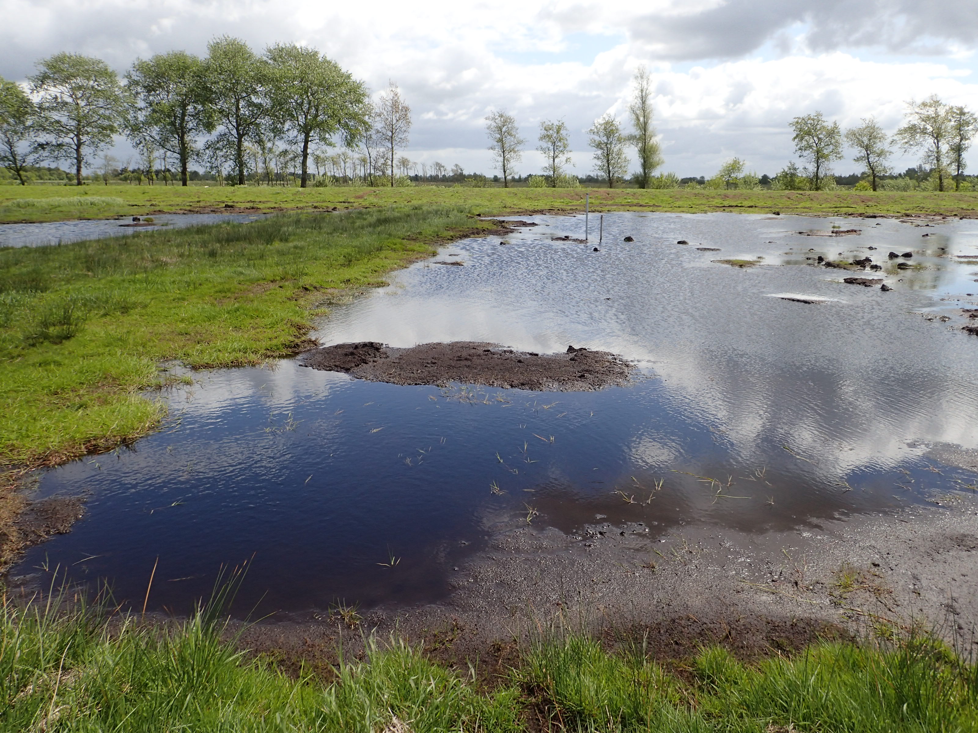 Ein Moor mit grünem Ufer und einer Wasserfläche, in der sich der Himmel spiegelt.